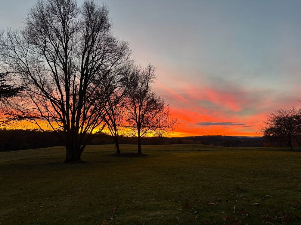 Classic Estate-DallasPA-natural-light-photography-studio-lifestyle-photoshoot-location-editorial-commercial-photography-12.jpg