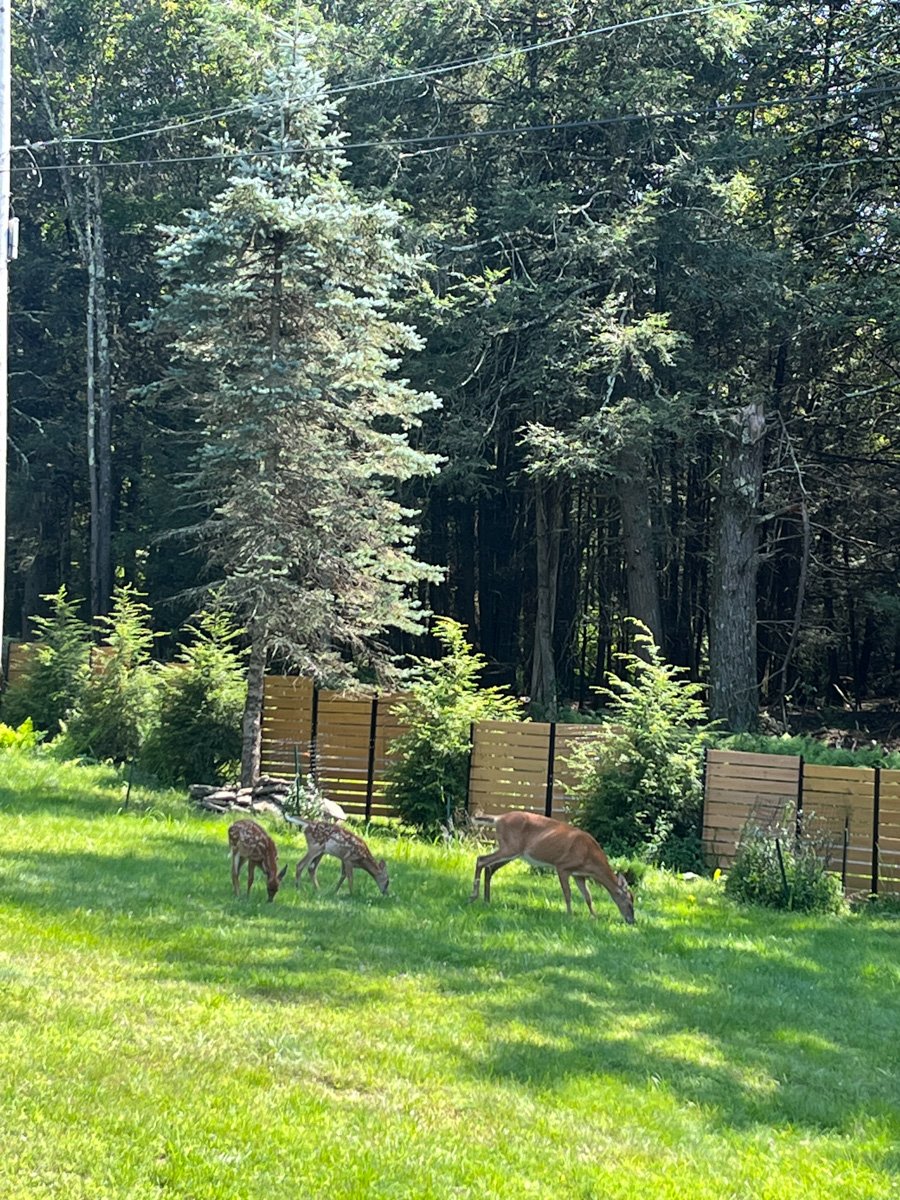 Forest Loft-4583-JeffersonvilleNY-natural-light-photography-studio-lifestyle-photoshoot-location-editorial-commercial-photography-2.jpg