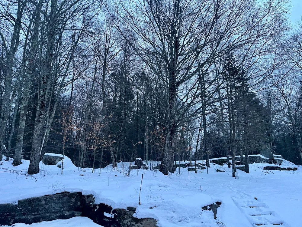 Forest Loft-4583-JeffersonvilleNY-natural-light-photography-studio-lifestyle-photoshoot-location-editorial-commercial-photography-39.jpg