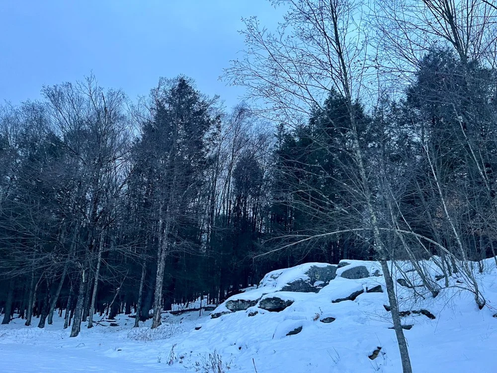 Forest Loft-4583-JeffersonvilleNY-natural-light-photography-studio-lifestyle-photoshoot-location-editorial-commercial-photography-40.jpg