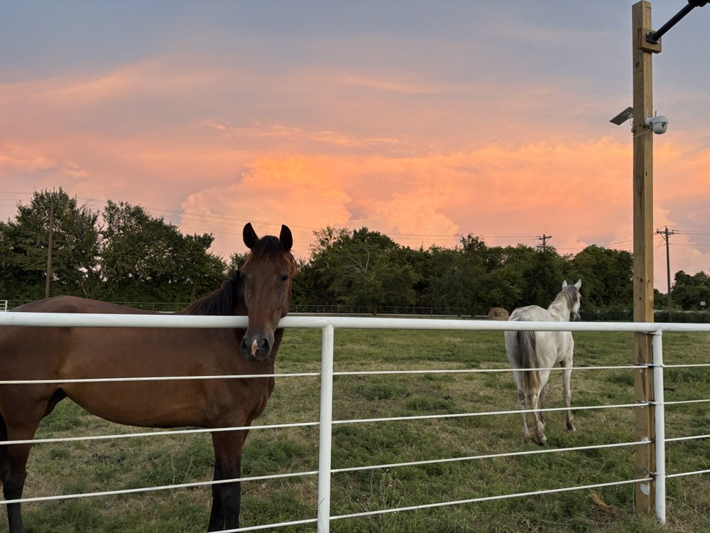La Fincas-MelissaTX-natural-light-photography-studio-lifestyle-photoshoot-location-editorial-13.jpg