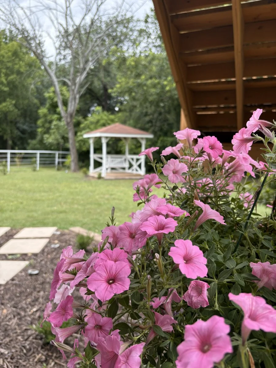 La Fincas-MelissaTX-natural-light-photography-studio-lifestyle-photoshoot-location-editorial-16.jpg