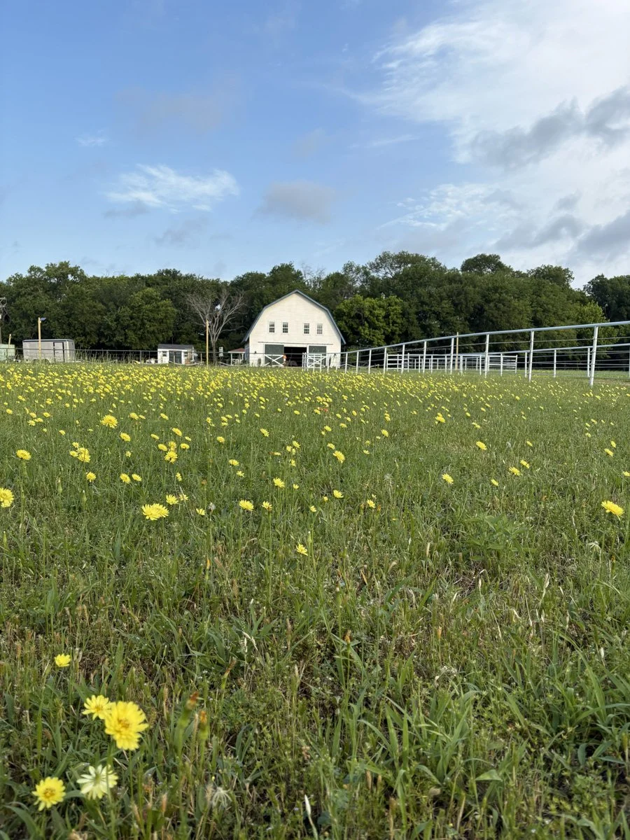 La Fincas-MelissaTX-natural-light-photography-studio-lifestyle-photoshoot-location-editorial-18.jpg