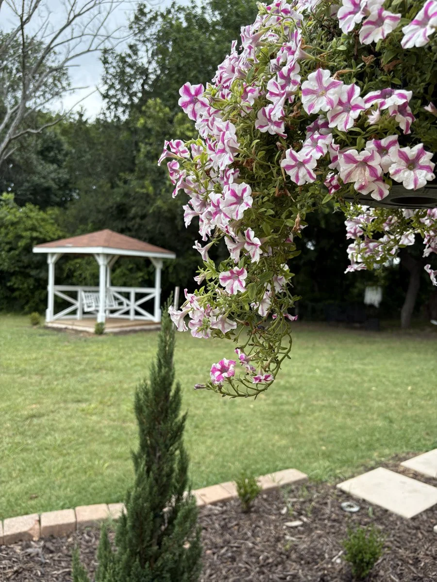 La Fincas-MelissaTX-natural-light-photography-studio-lifestyle-photoshoot-location-editorial-17.jpg