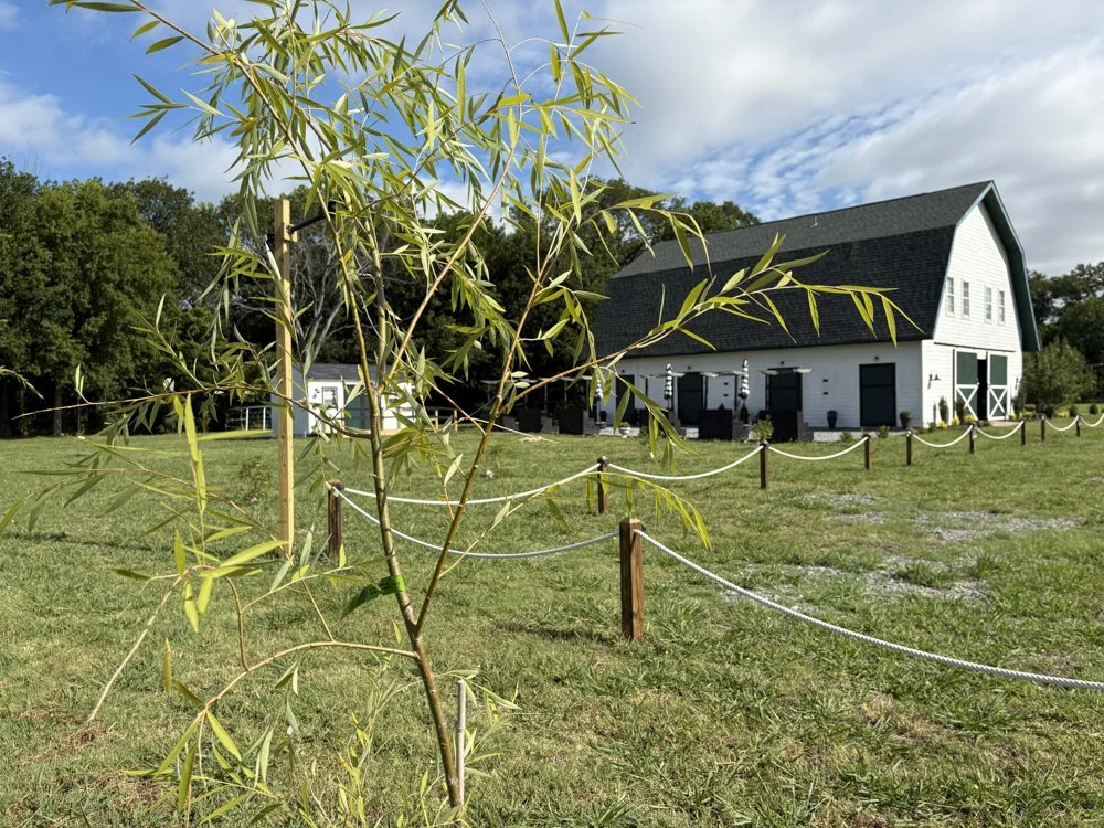 La Fincas-MelissaTX-natural-light-photography-studio-lifestyle-photoshoot-location-editorial-19.jpg