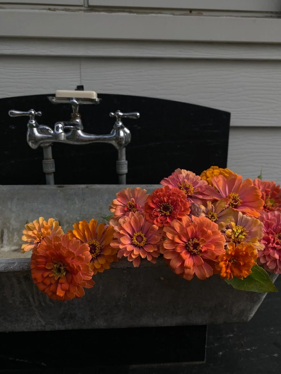 Classic Homestead-natural-light-photography-studio-lifestyle-photoshoot-location-editorial-20.jpg