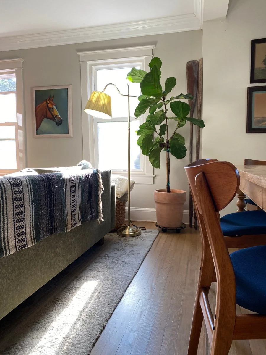 Classic Homestead-natural-light-photography-studio-lifestyle-photoshoot-location-editorial-26.jpg