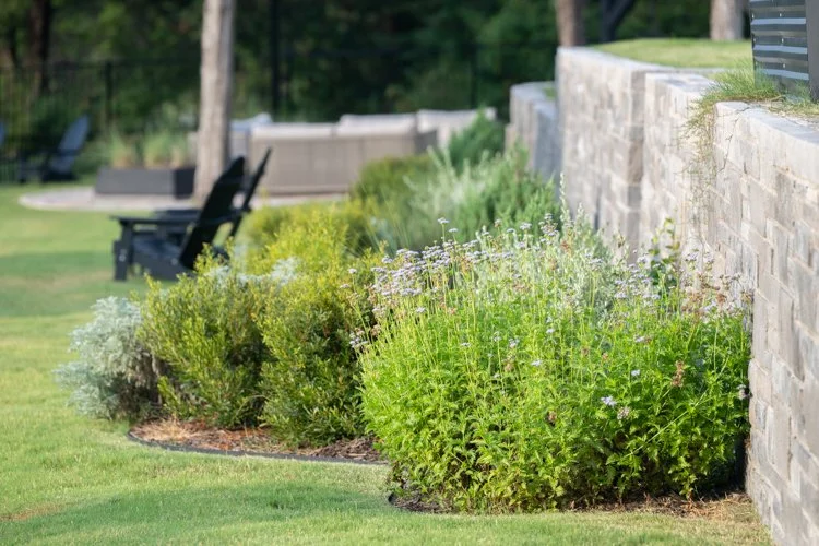 Kaycee Studio-MidlothianTX-natural-light-photography-studio-lifestyle-photoshoot-location-editorial-3.jpg