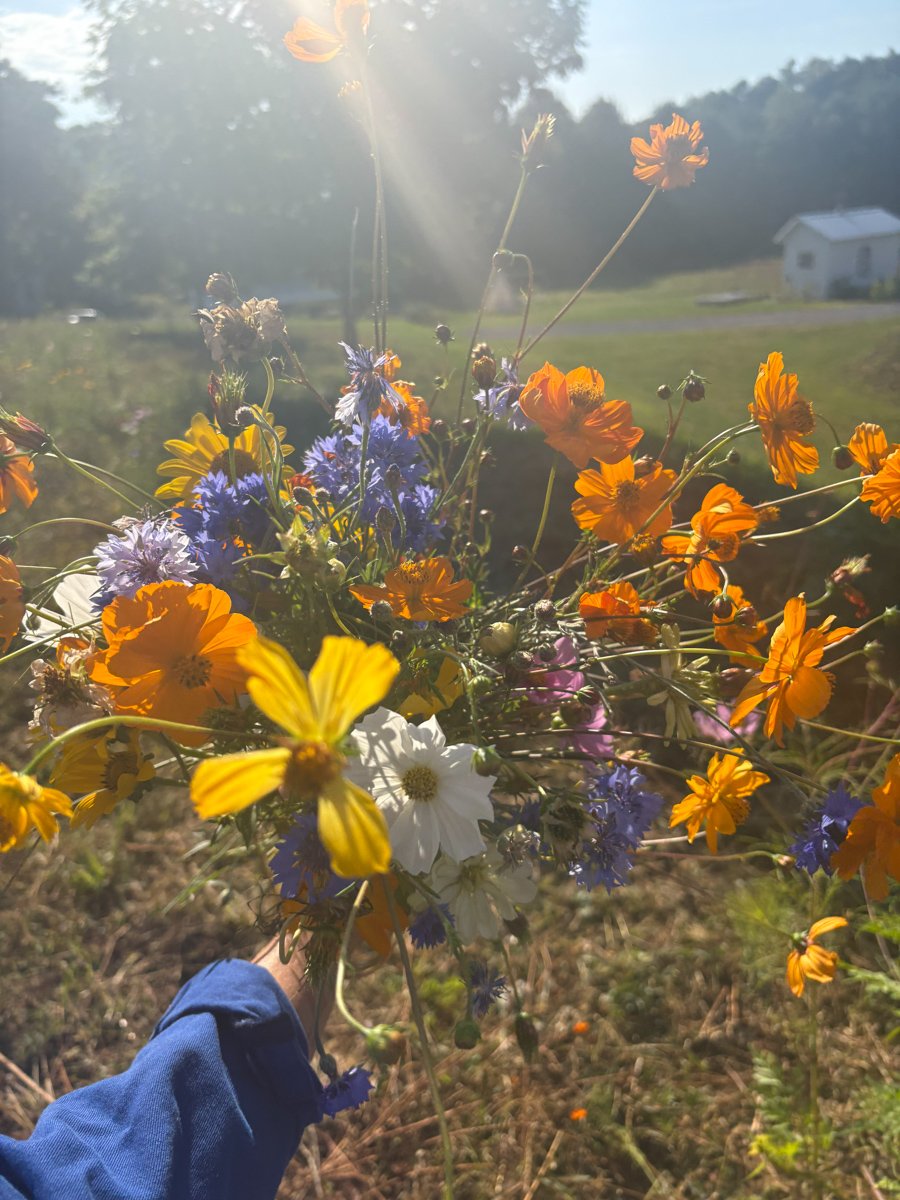 Floral Meadow-CopakeNY-natural-light-photography-studio-lifestyle-photoshoot-location-editorial-11.jpg