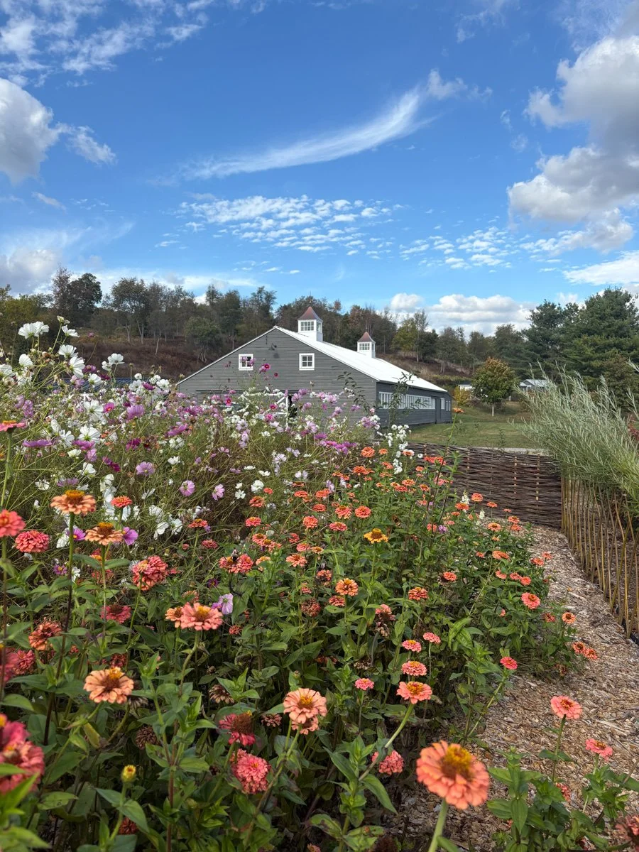 Floral Meadow-CopakeNY-natural-light-photography-studio-lifestyle-photoshoot-location-editorial-14.jpg