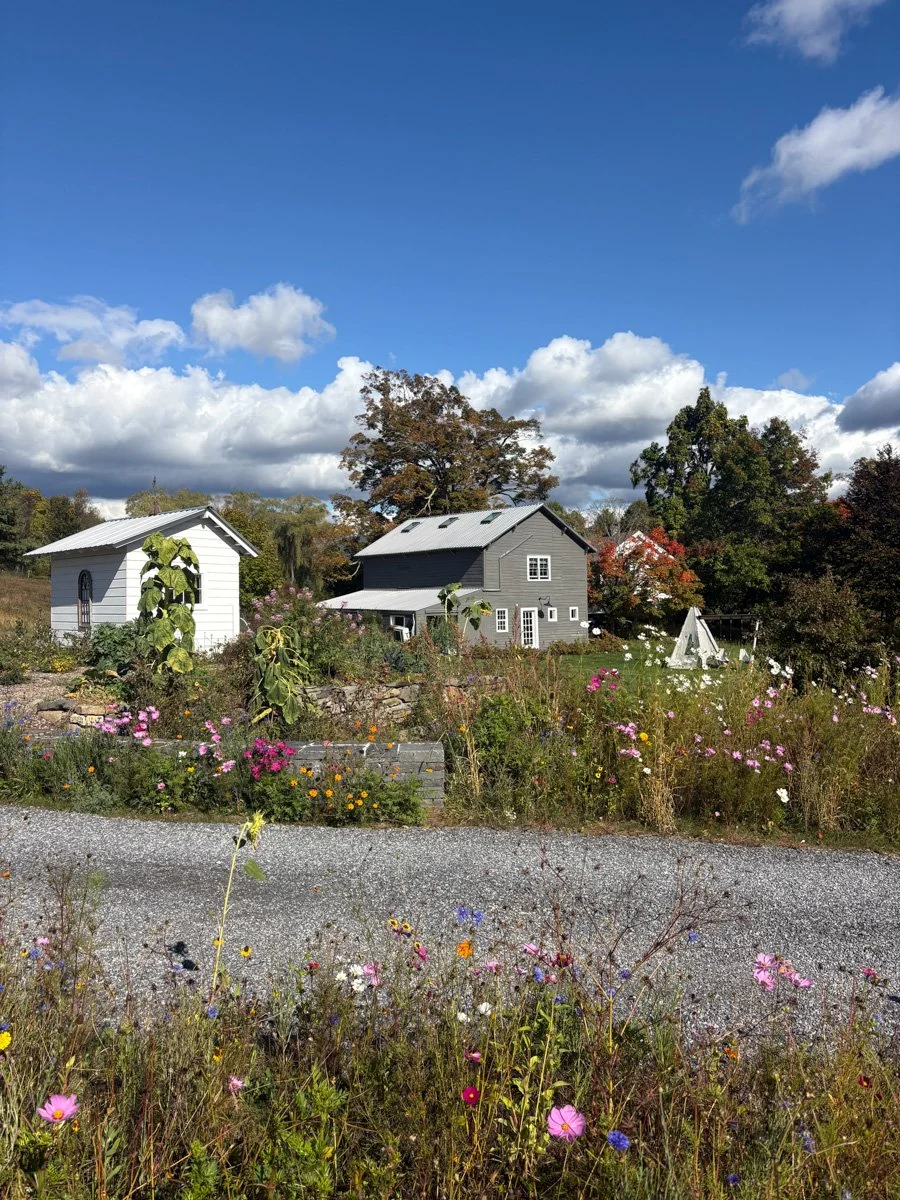 Floral Meadow-CopakeNY-natural-light-photography-studio-lifestyle-photoshoot-location-editorial-15.jpg