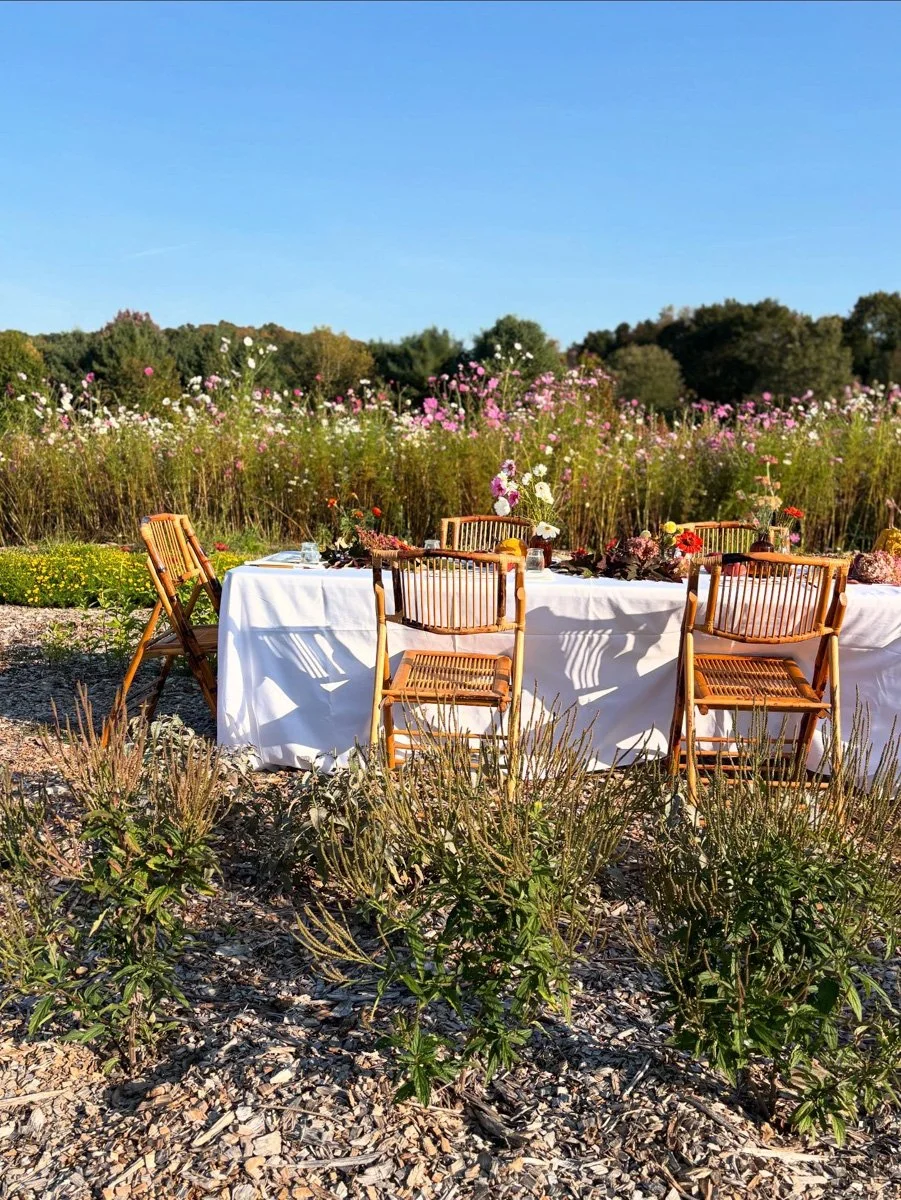 Floral Meadow-CopakeNY-natural-light-photography-studio-lifestyle-photoshoot-location-editorial-19.jpg