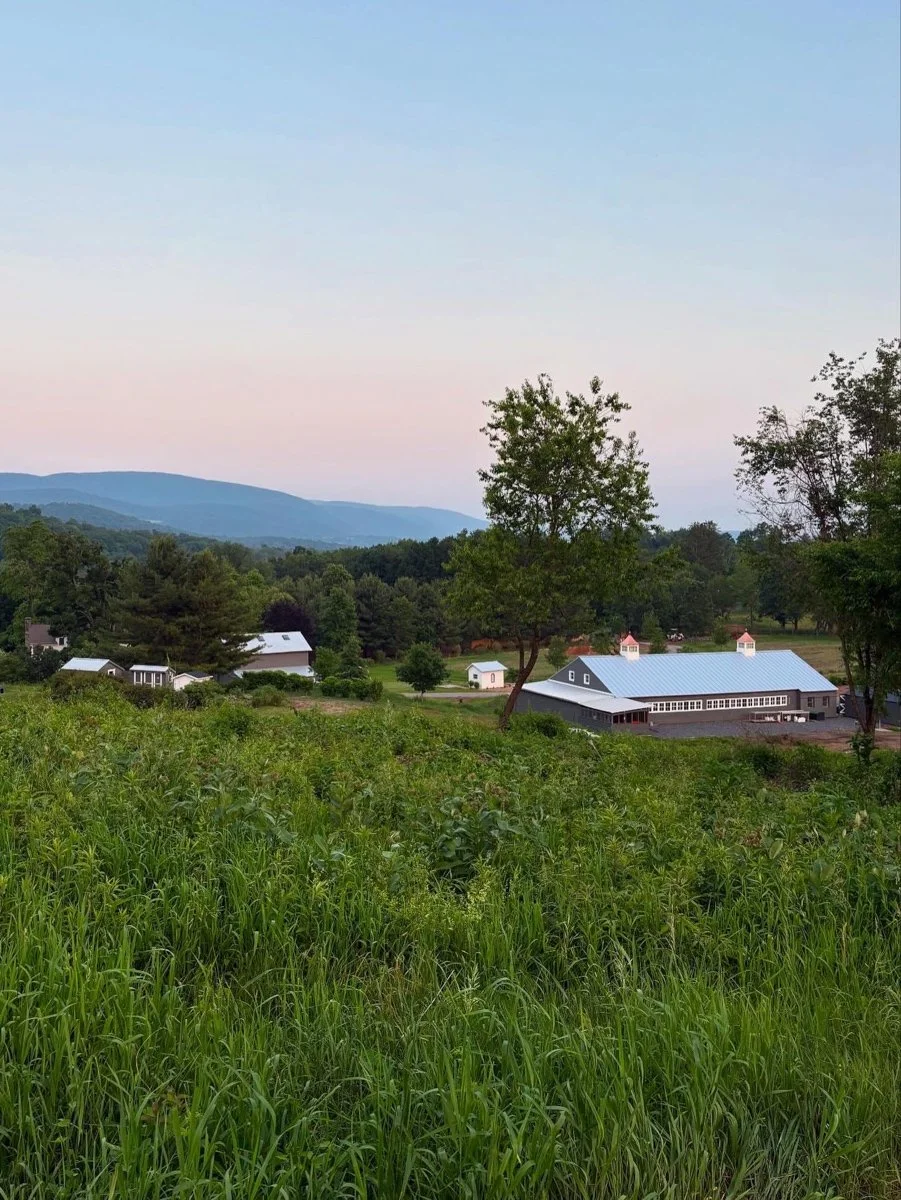 Floral Meadow-CopakeNY-natural-light-photography-studio-lifestyle-photoshoot-location-editorial-20.jpg