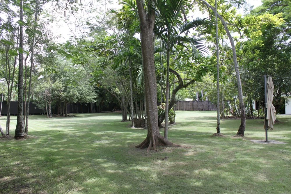 Lush Sanctuary-MiamiFL-natural-light-photography-studio-lifestyle-photoshoot-location-editorial-14.jpg