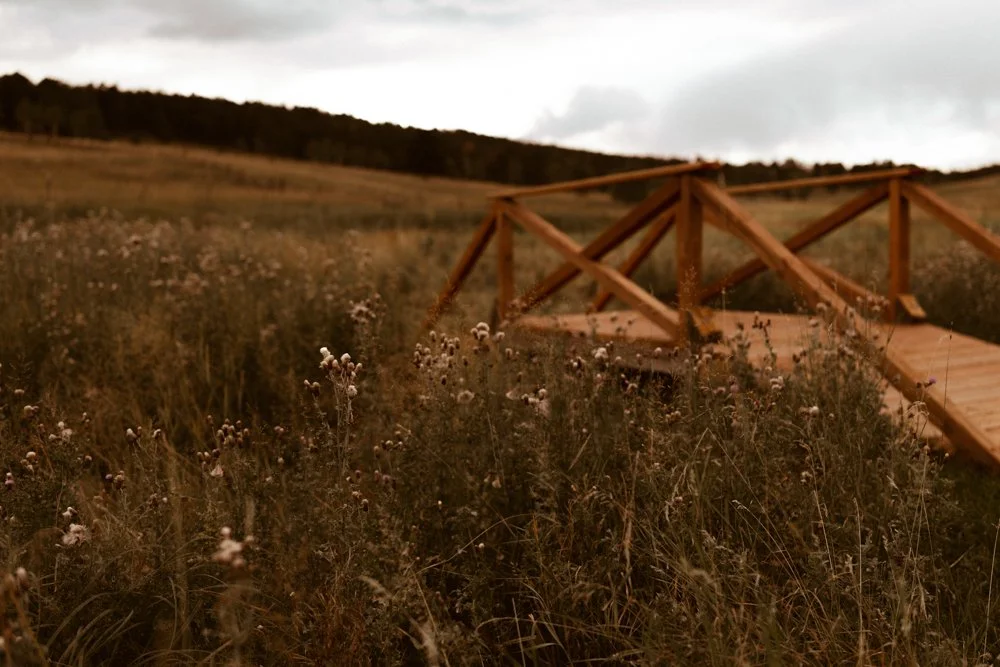 The Cottage-ConiferCO-natural-light-photography-studio-lifestyle-photoshoot-location--14.jpg