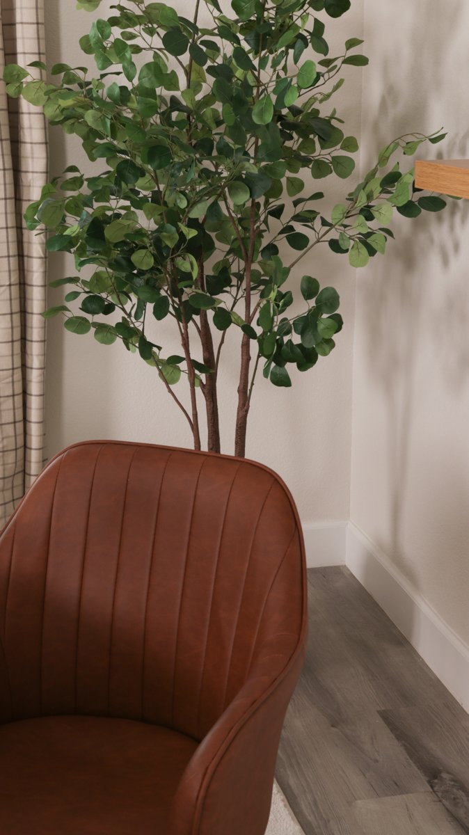 Calm Modern-Las VegasNV-natural-light-photography-studio-lifestyle-photoshoot-location--12.jpg