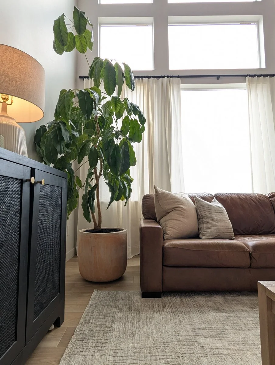 Gentle Modern-Saratoga SpringsUT-natural-light-photography-studio-lifestyle-photoshoot-location--11.jpg
