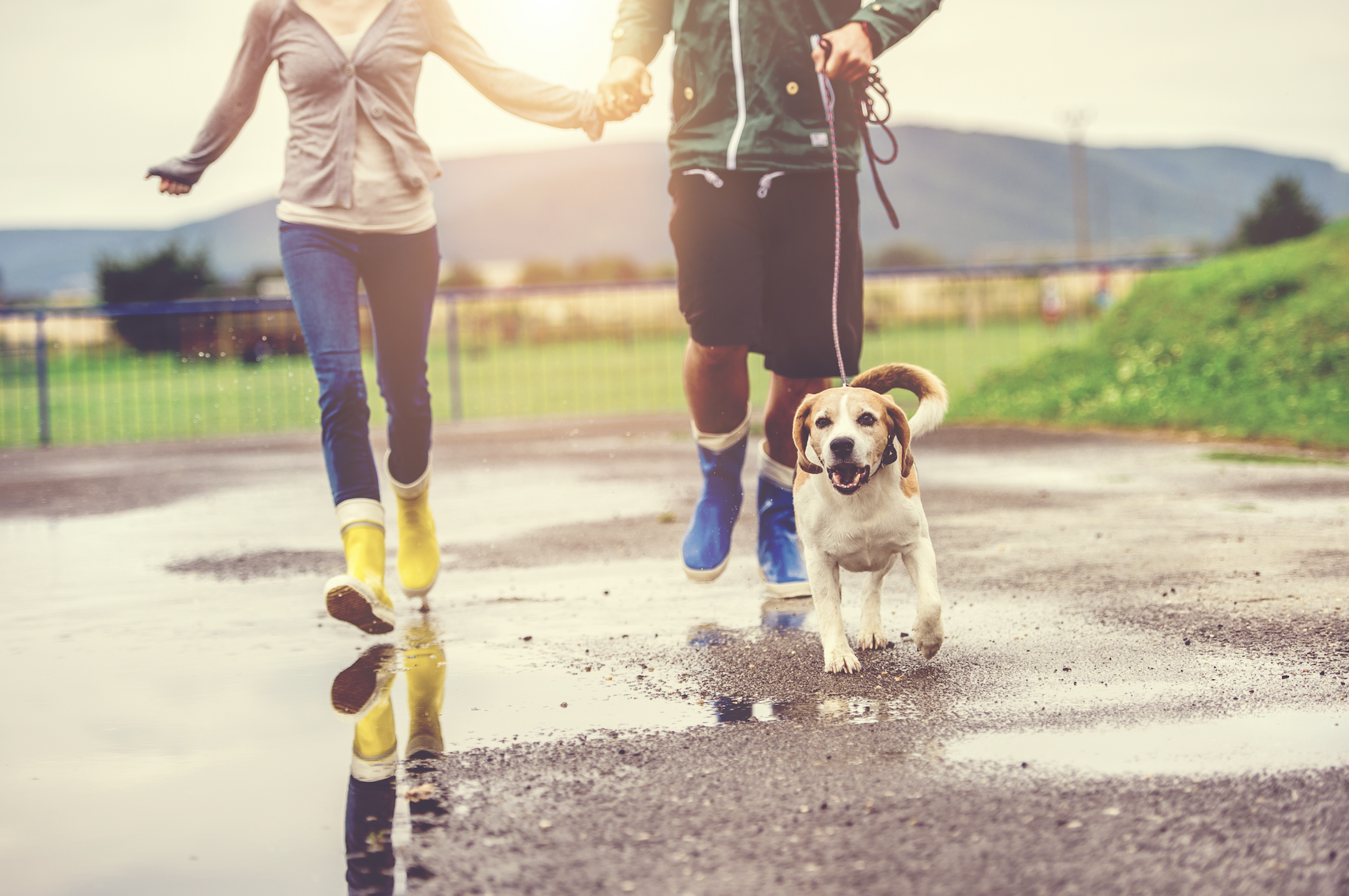 Is it time to try Couples Counseling?