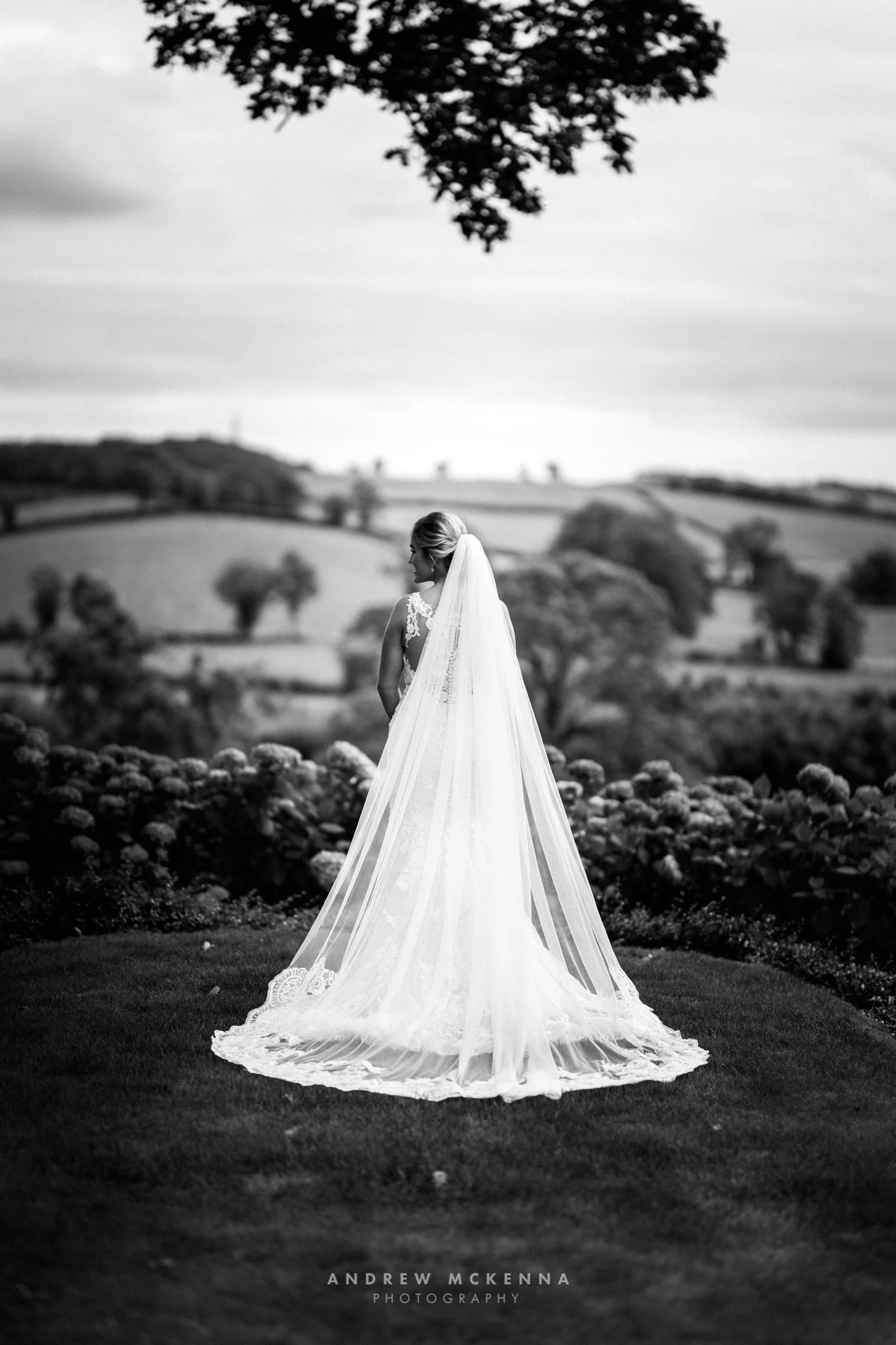 Kate & Dom117.jpg