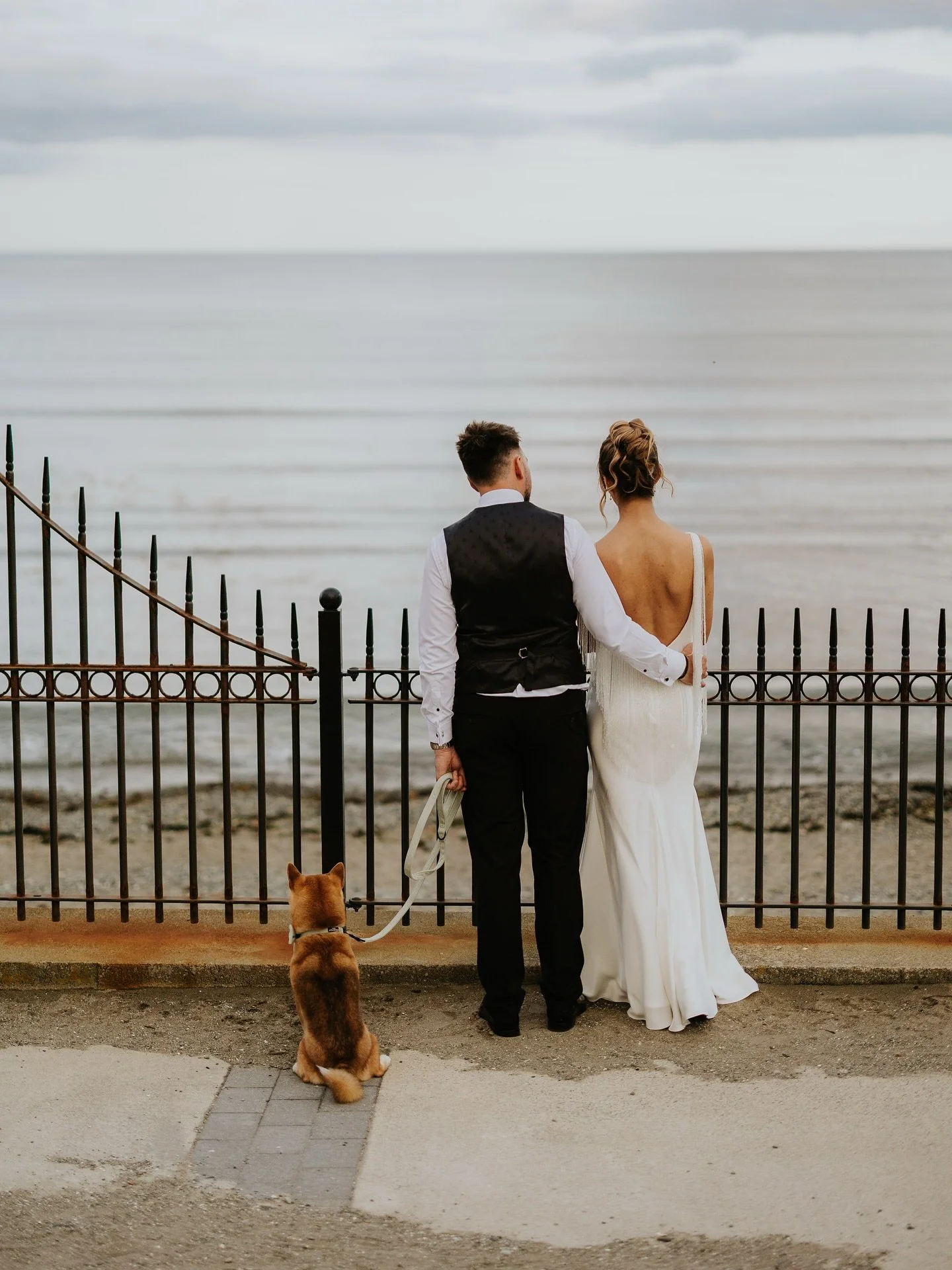 Bree &amp; Leigh ❤️📸🐶

@pronovias 
@bogartmenswear 
@aoifefergusonbridalhair 
@kak_beauty_nails_ 
@ceallachreid_ 
@rareaulstuffweddings 
@weddingcakesbydesign 
@pigmintfilm_clive 
@charlotteswebfloralstudio