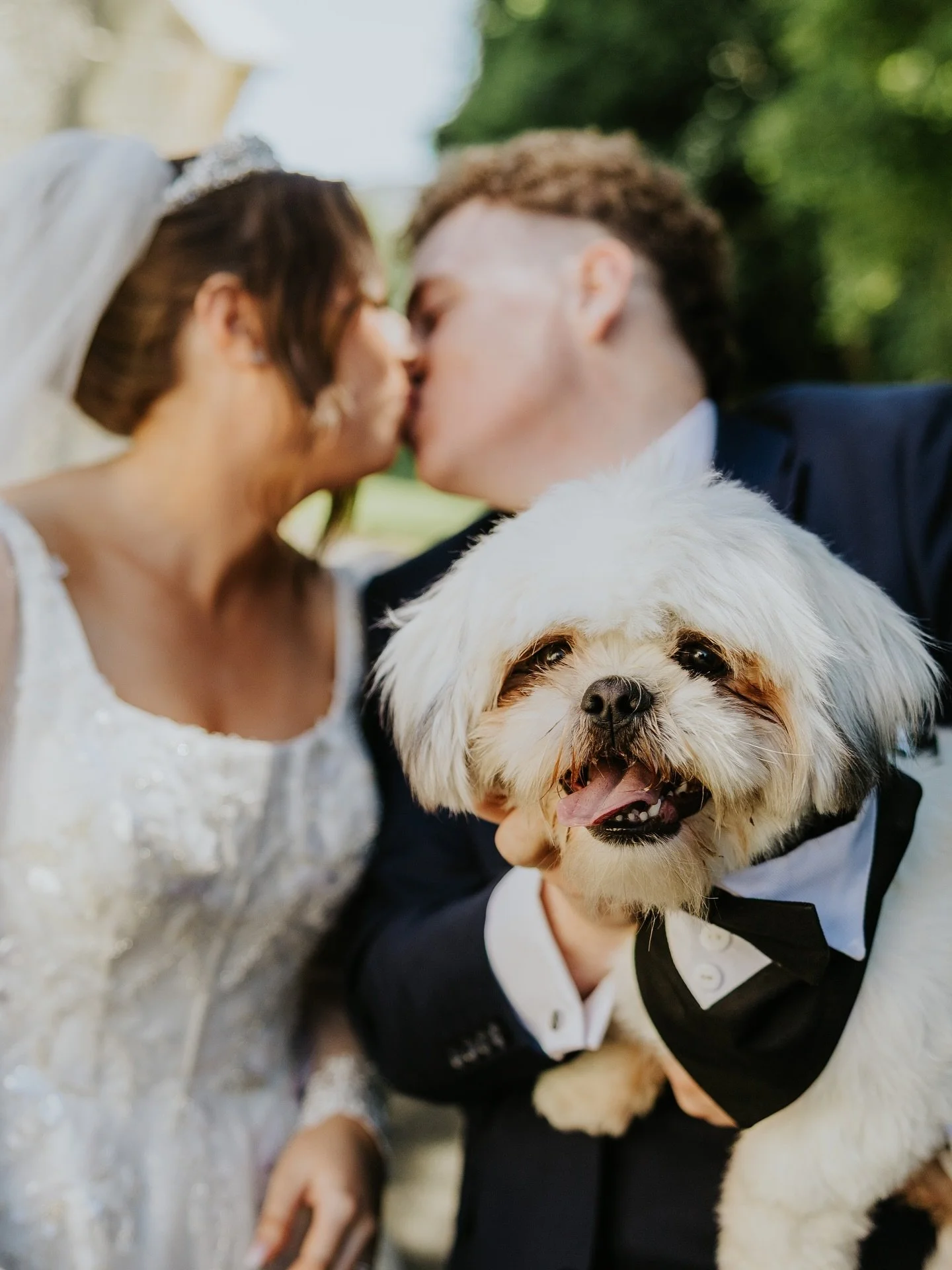 Aimee &amp; Martin❤️📸🐶

@jolenefeenanhair 
@claremccabebeauty 
@filmitstudios 
@delicious_delightsx 
@woodland_flowers01 
@theprofessionalsweddingband 
@image_of_you_photobooths 
@mcbrideandgroom_ 
@martina_crilly_creativedesigns 
@ericcheung.co.uk