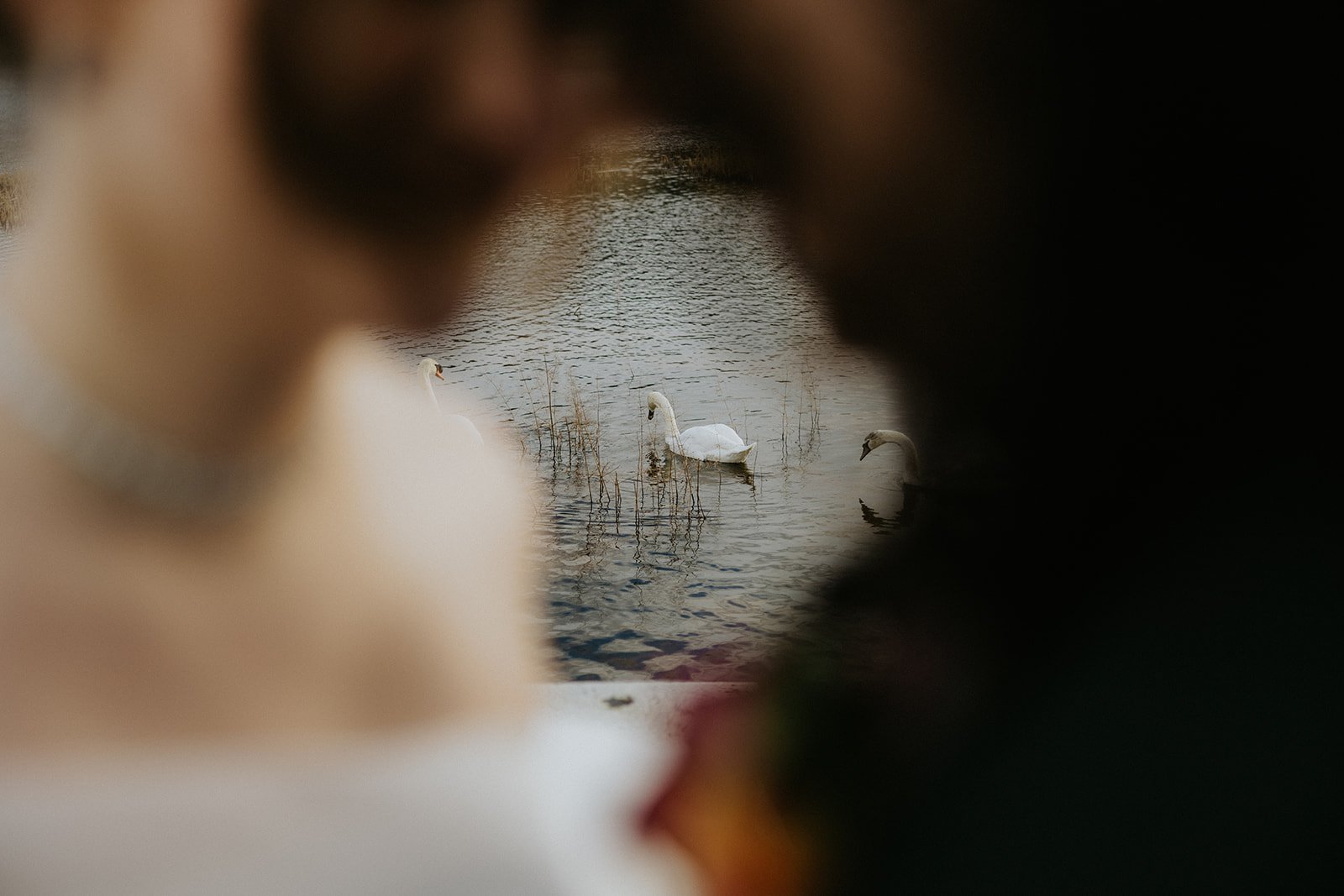 Katie & Tristian | Castle Leslie -137.jpg