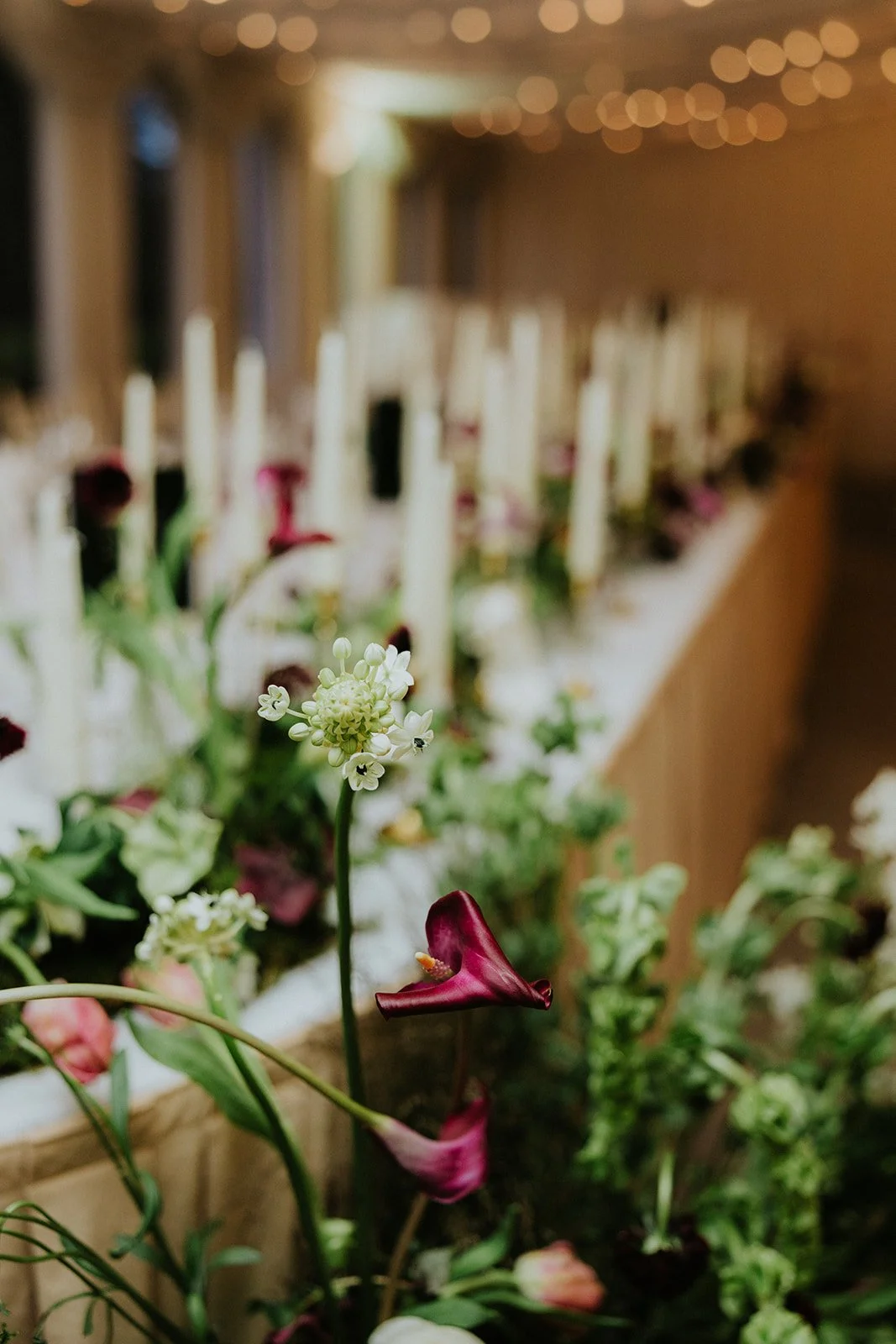 Katie & Tristian | Castle Leslie -180.jpg
