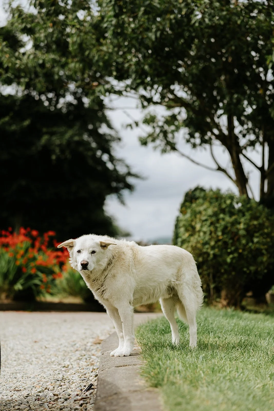 Jane & Chris | Killeavy Castle Estate-66.jpg