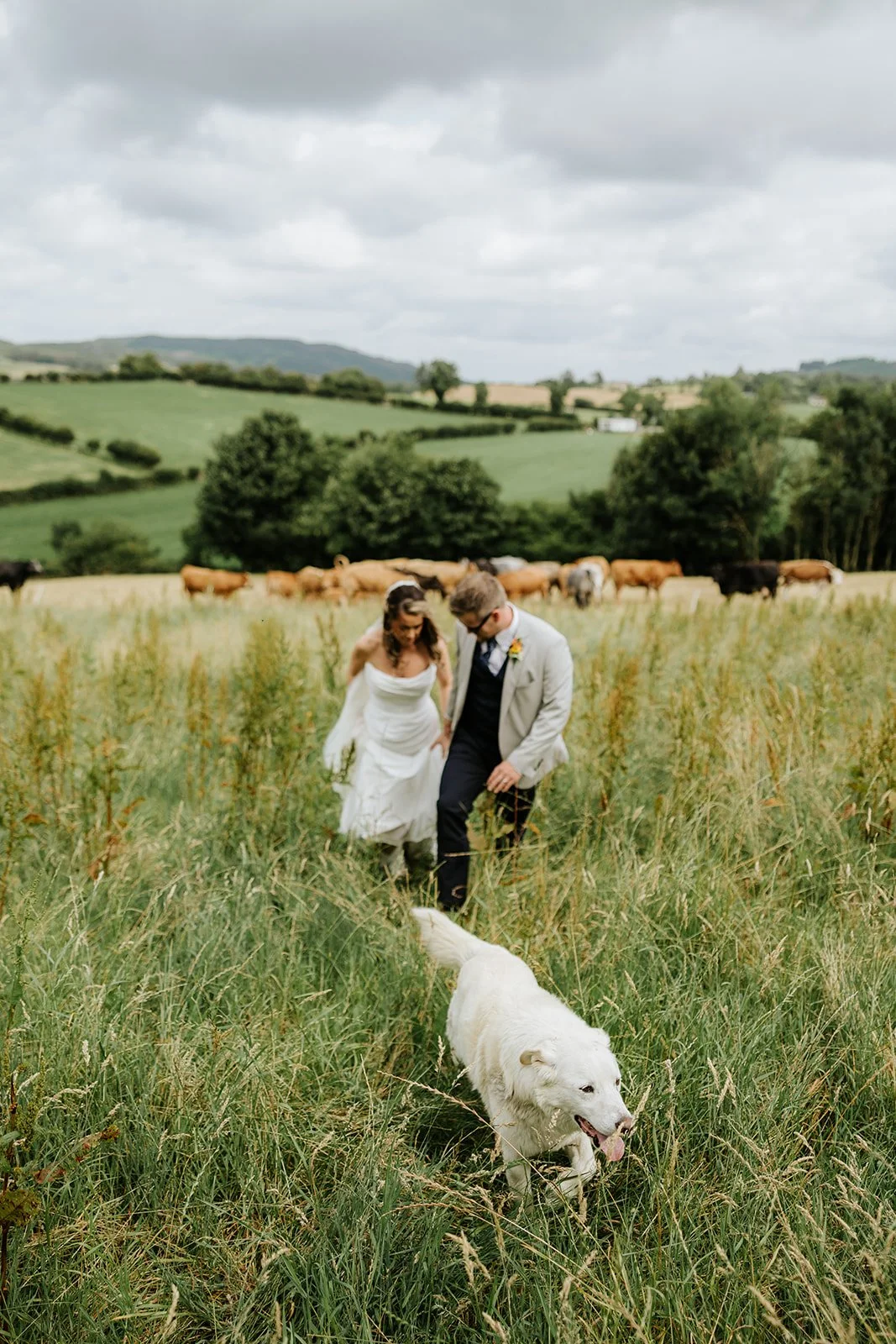 Jane & Chris | Killeavy Castle Estate-99.jpg