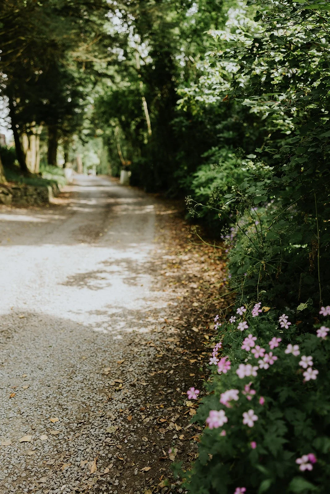 Ruth & Warren | Brackengarth-80.jpg