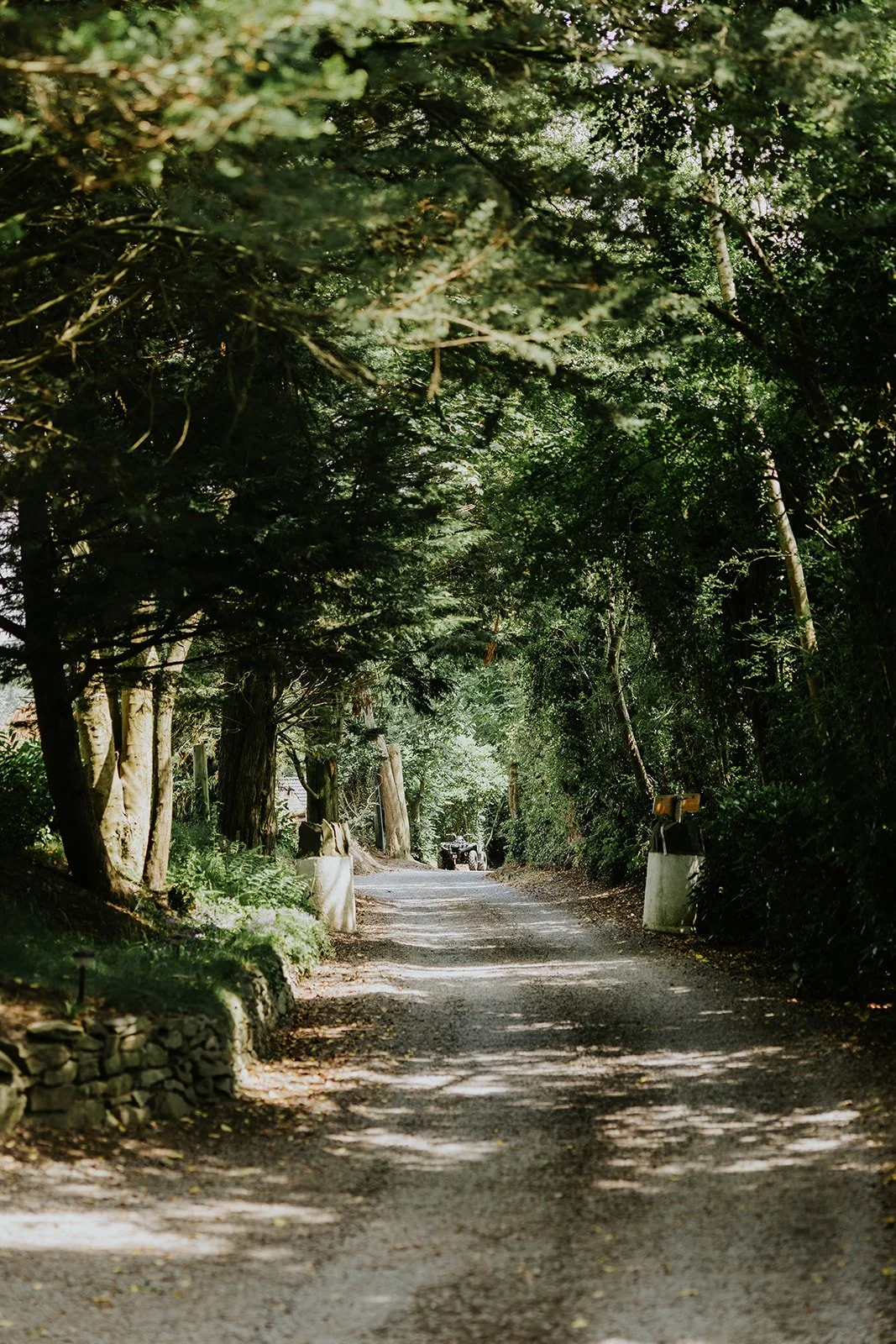 Ruth & Warren | Brackengarth-81.jpg