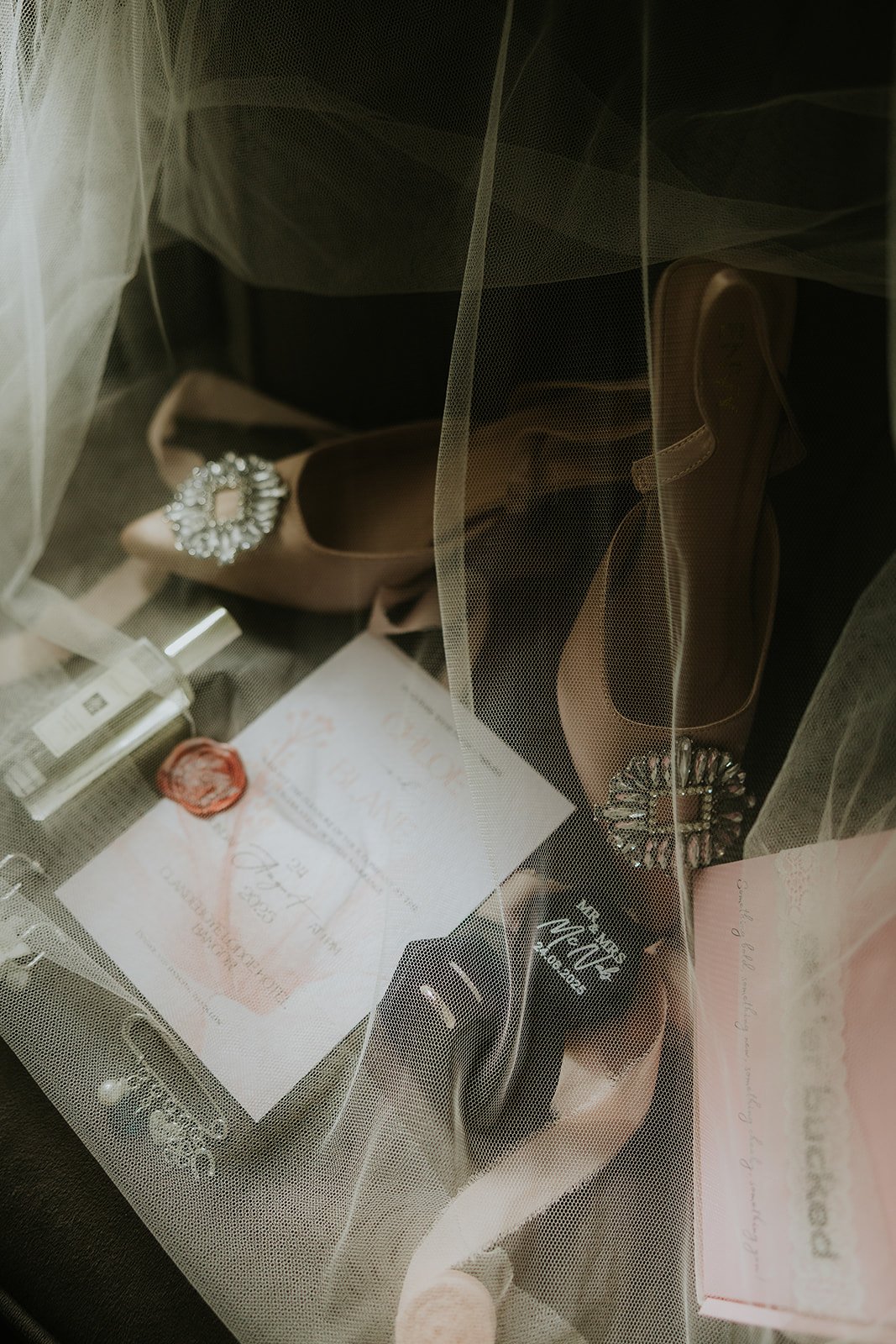 Chloe & Blane | Clandeboye Lodge Hotel -17.jpg