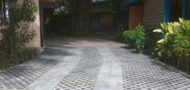1678886977479.jpg
