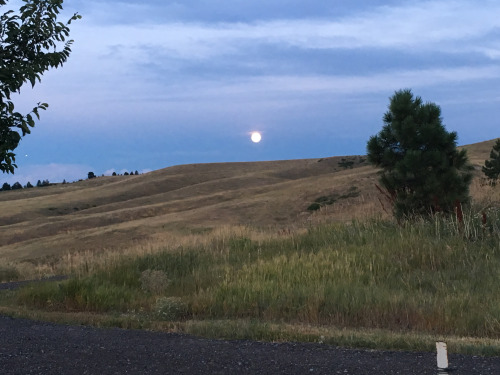 A picture I took of the moon over a hill not far from my new home