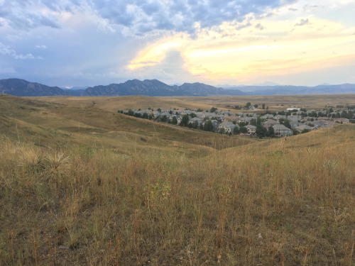 A picture I took of my new home from the nearby hill. Despite appearances, a full suite of gleaming retail stores and excellent restaurants is not far away. 