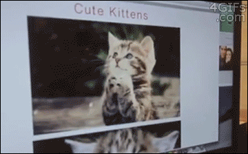 Via murketing : Arguably the ultimate in dedigitization . And via procrastinaut : This is a concept GIF showcasing how kittens will be free on the Internet one day.