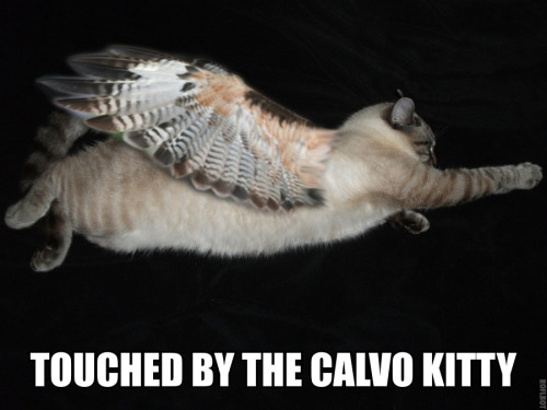 Which firm’s price will be next? There’s a chance it could be yours! I reblog this post from @YoungEcon on econlolcats to help me with my graduate macro teaching. 