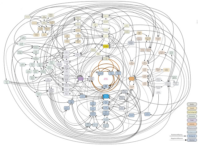 image source . #1 image from googling “complexity of obesity”