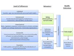image source . #2 image from googling “complexity of obesity”