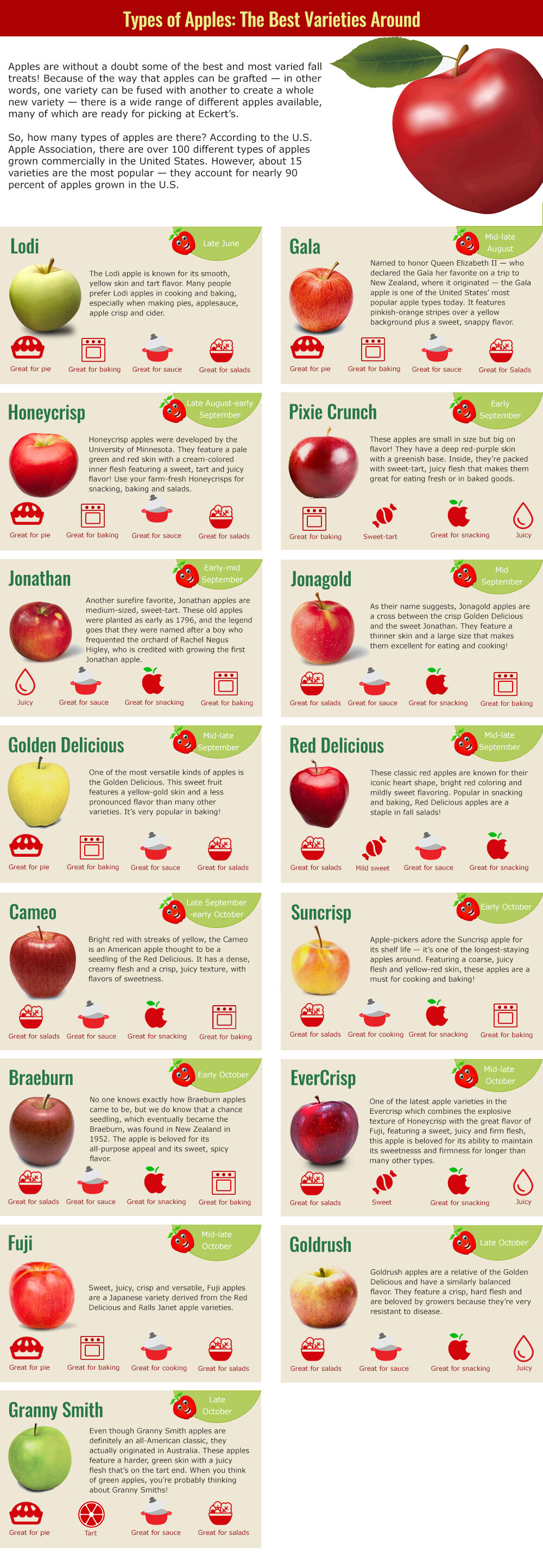 Blog, How Many Types Of Apples Are There