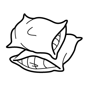 soft_icon.jpg