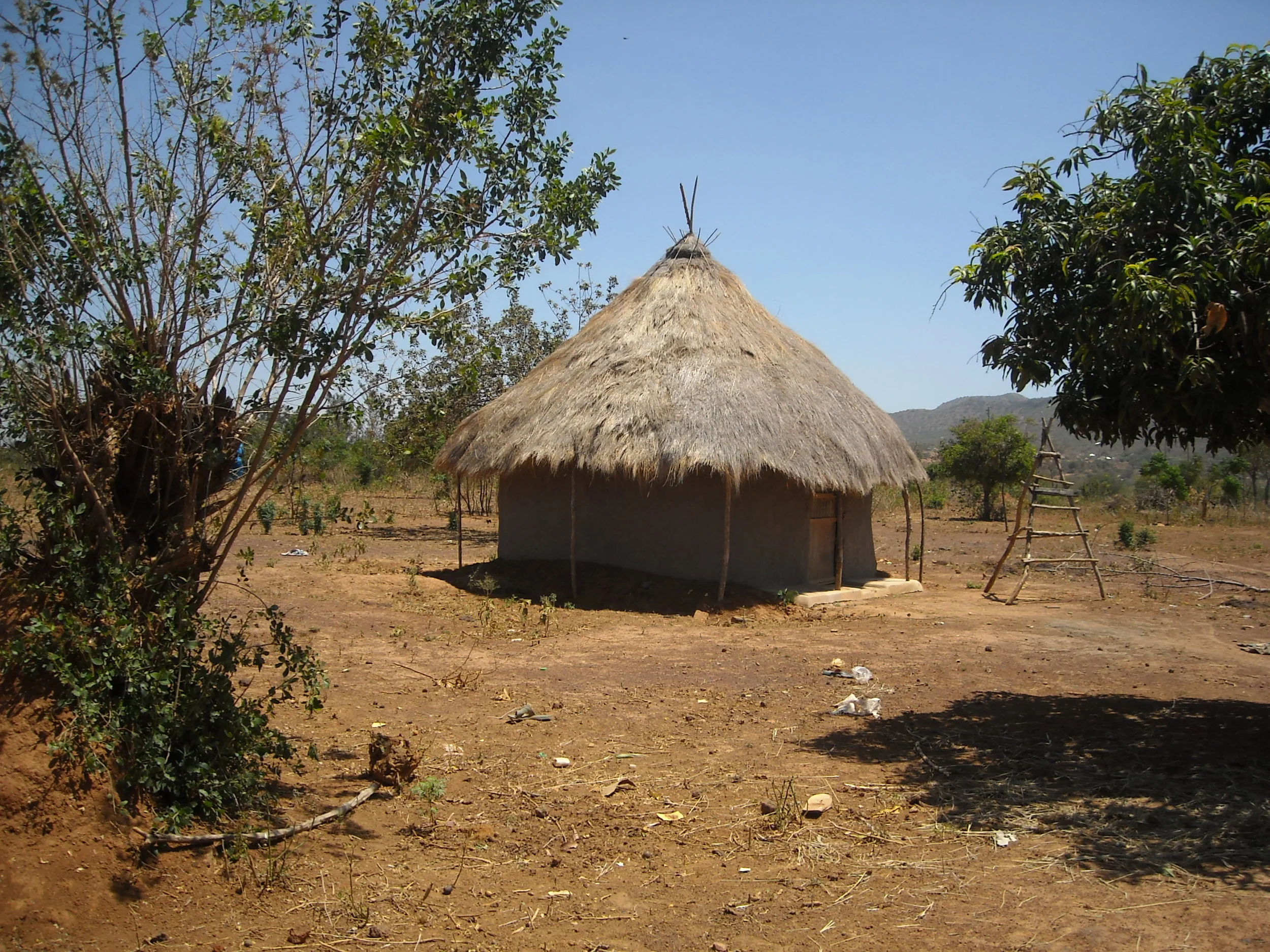 DSCN0100.JPG