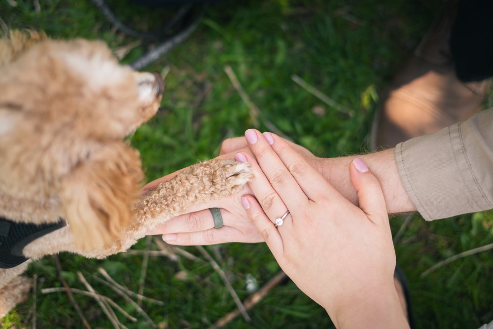 Engagement Photoshoot of Chris and Jackie at Guild Inn in Scarborough-73.jpg