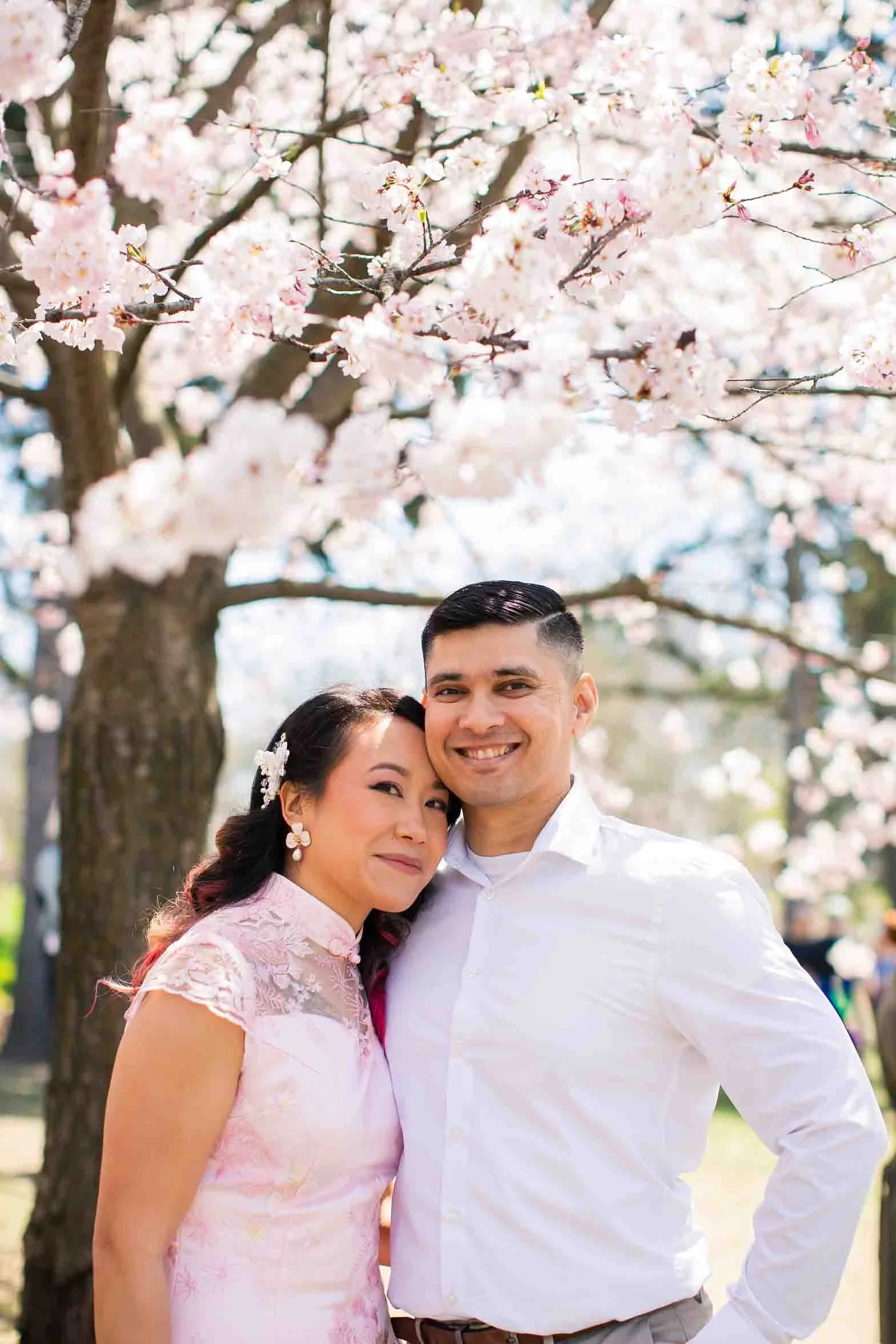 Cherry blossom engagement photography Toronto