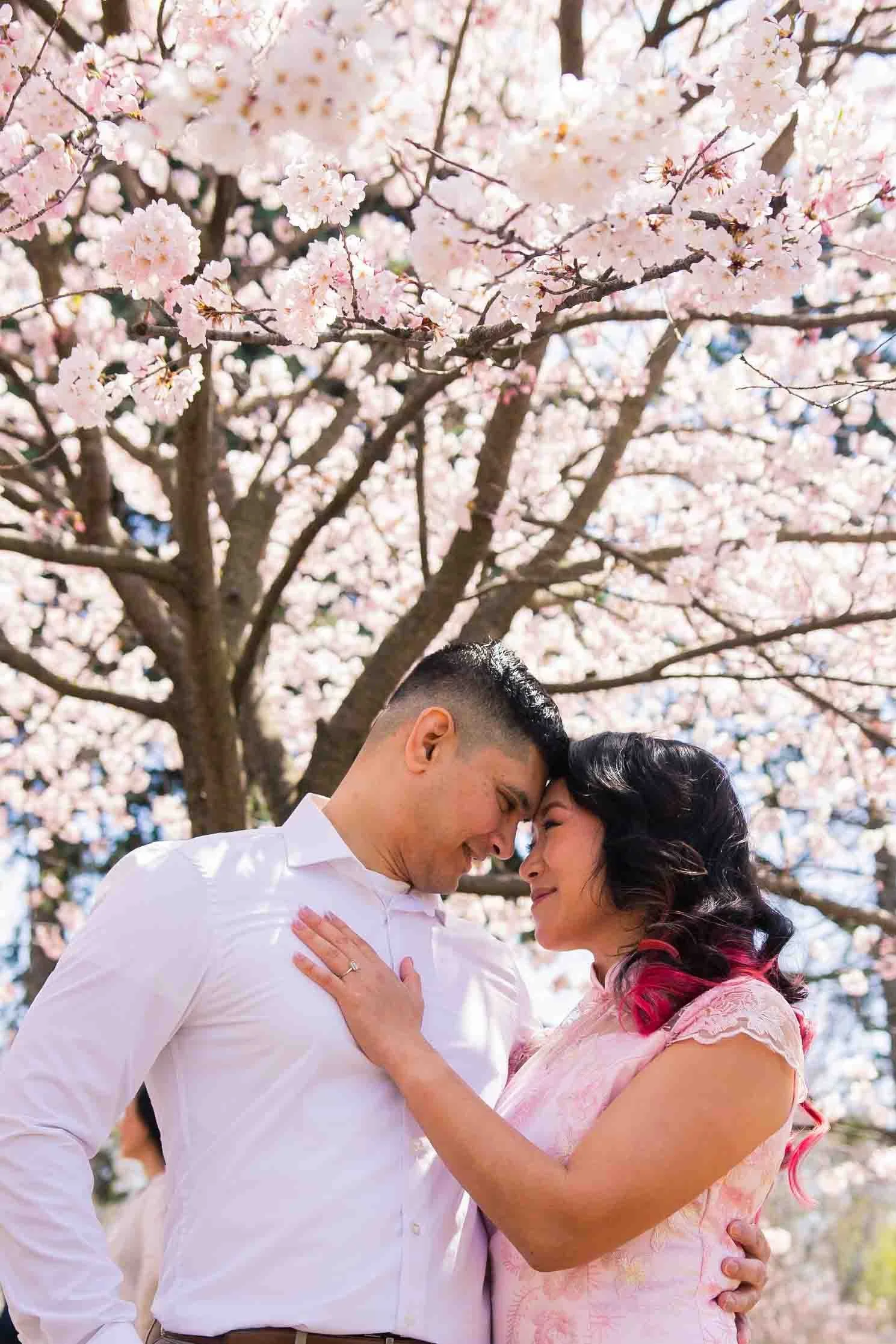Spring engagement photos in Toronto