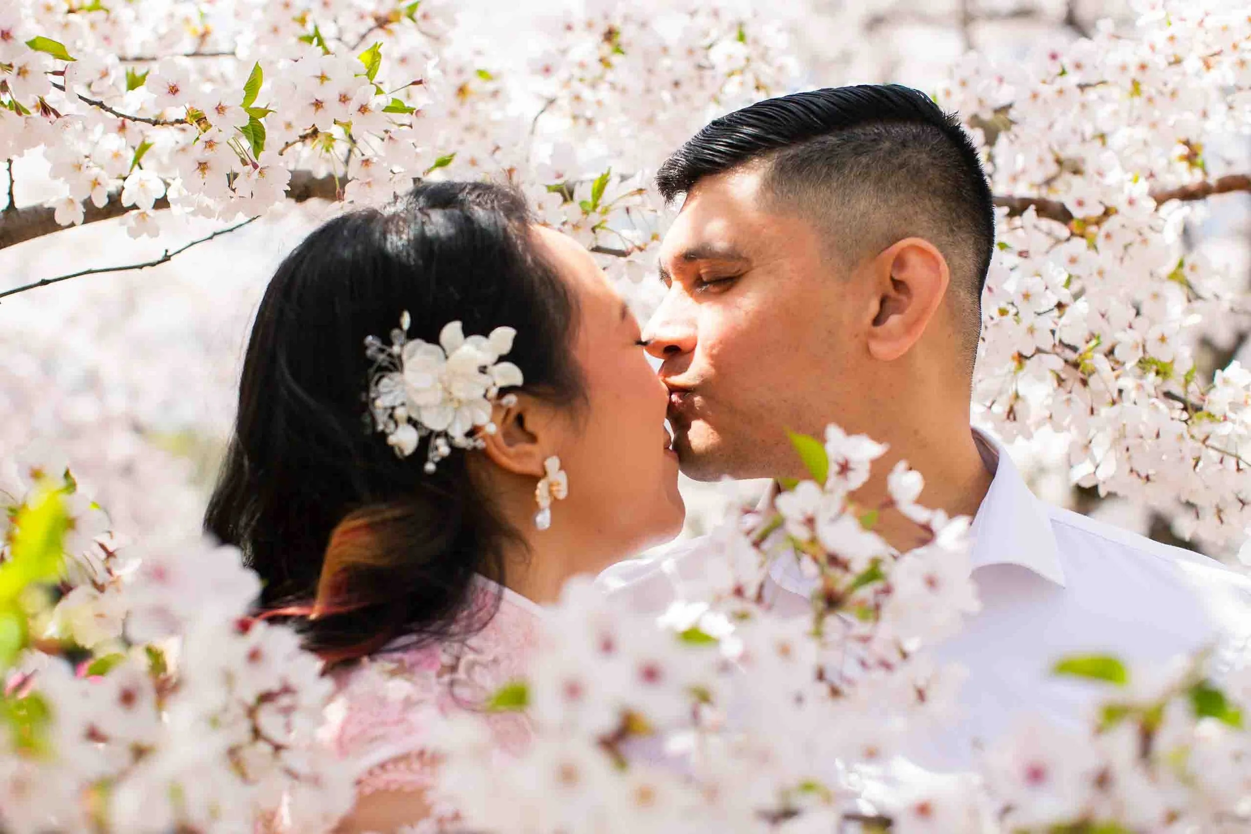 Cherry blossom engagement photos at High Park
