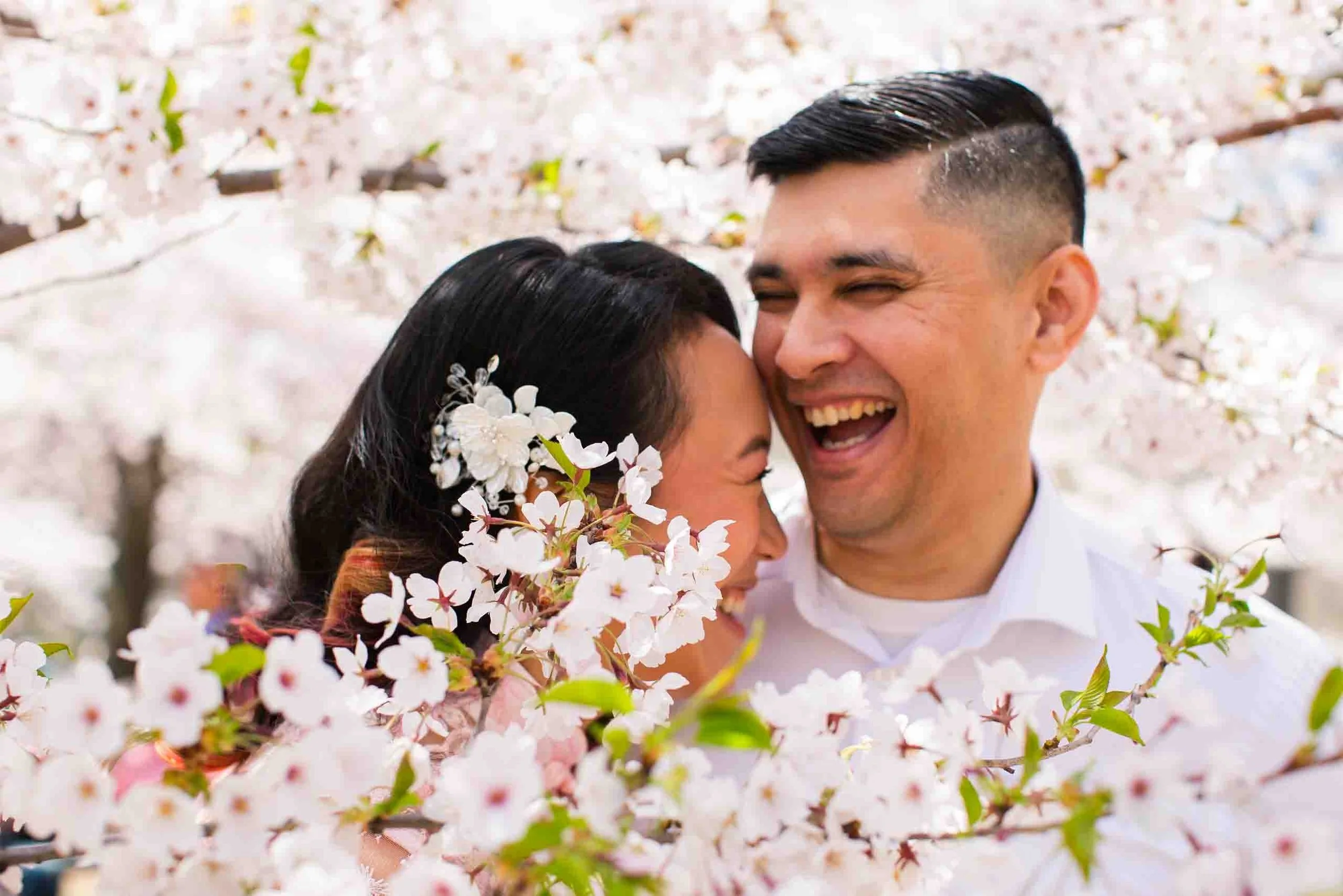 High Park engagement photography