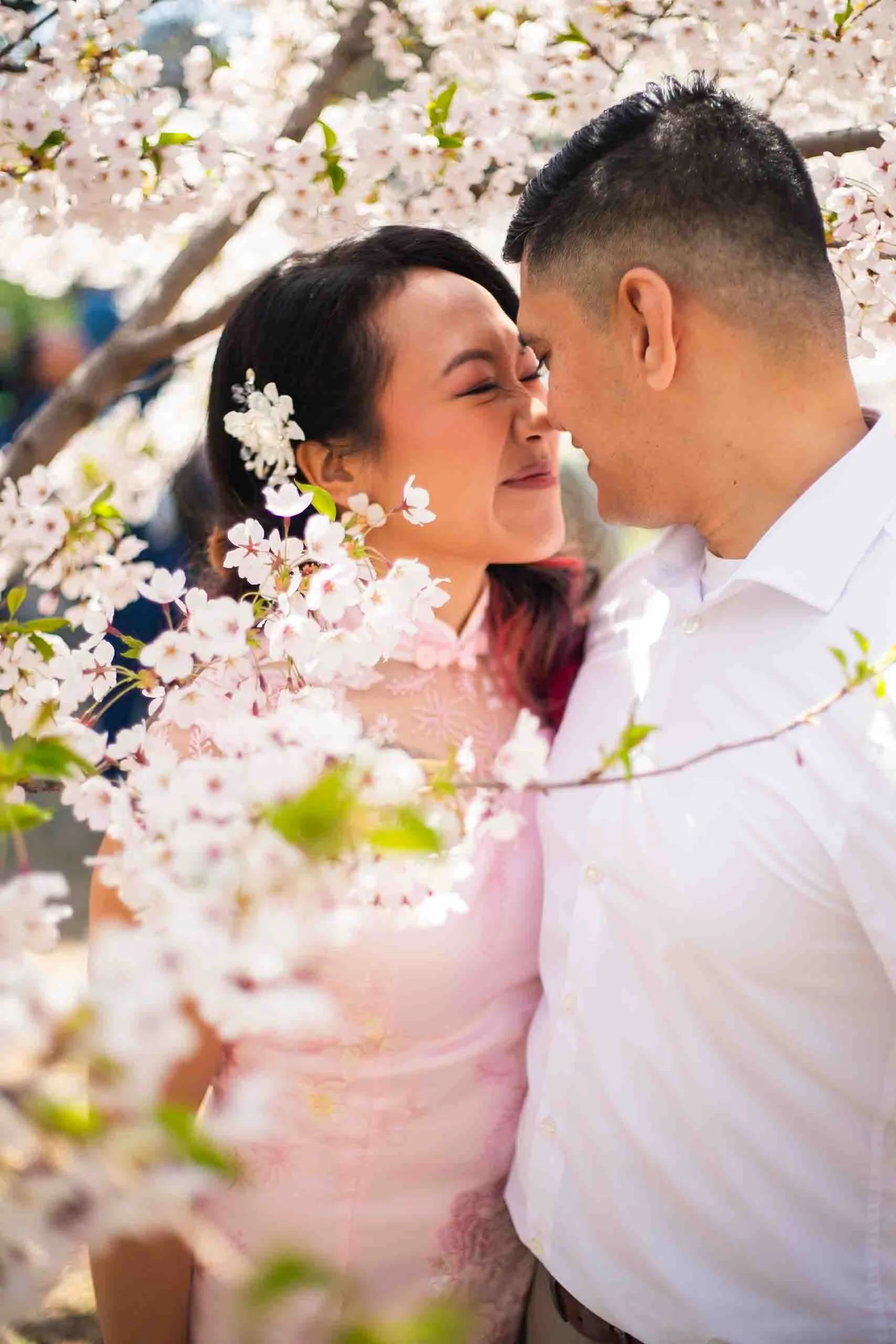 Toronto cherry blossom engagement photographer