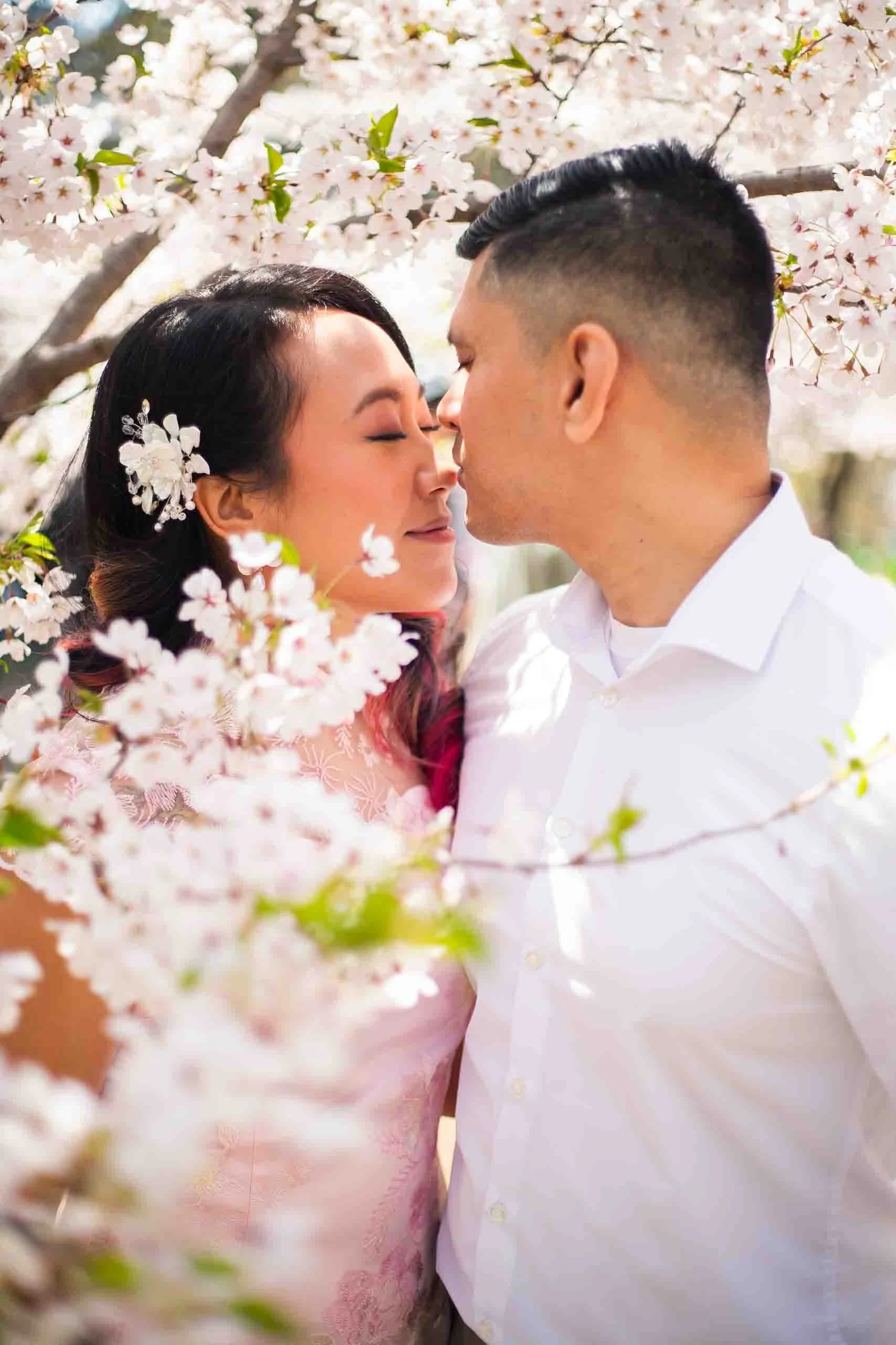 Cherry blossom engagement photography Toronto