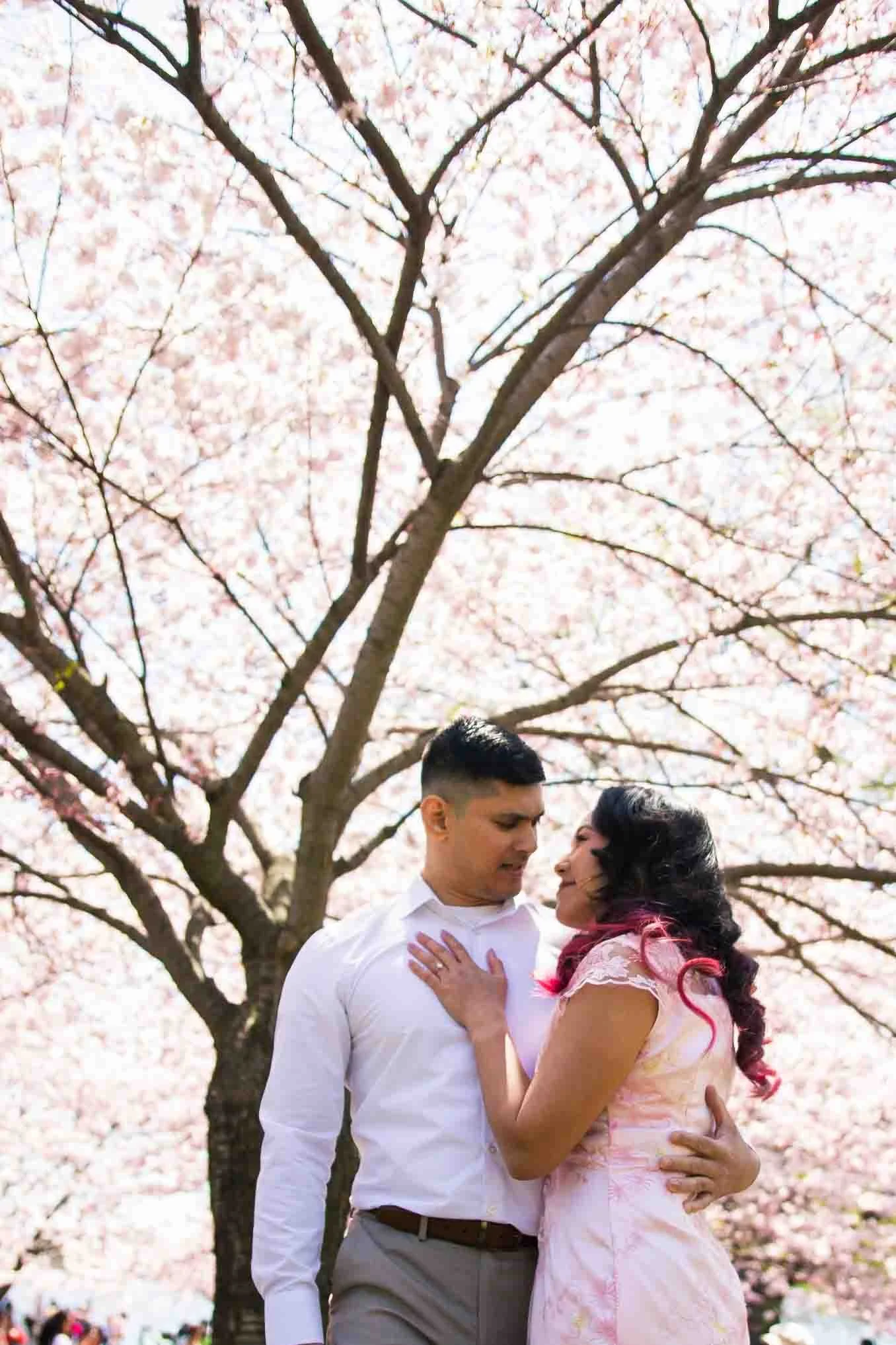 Toronto engagement photos